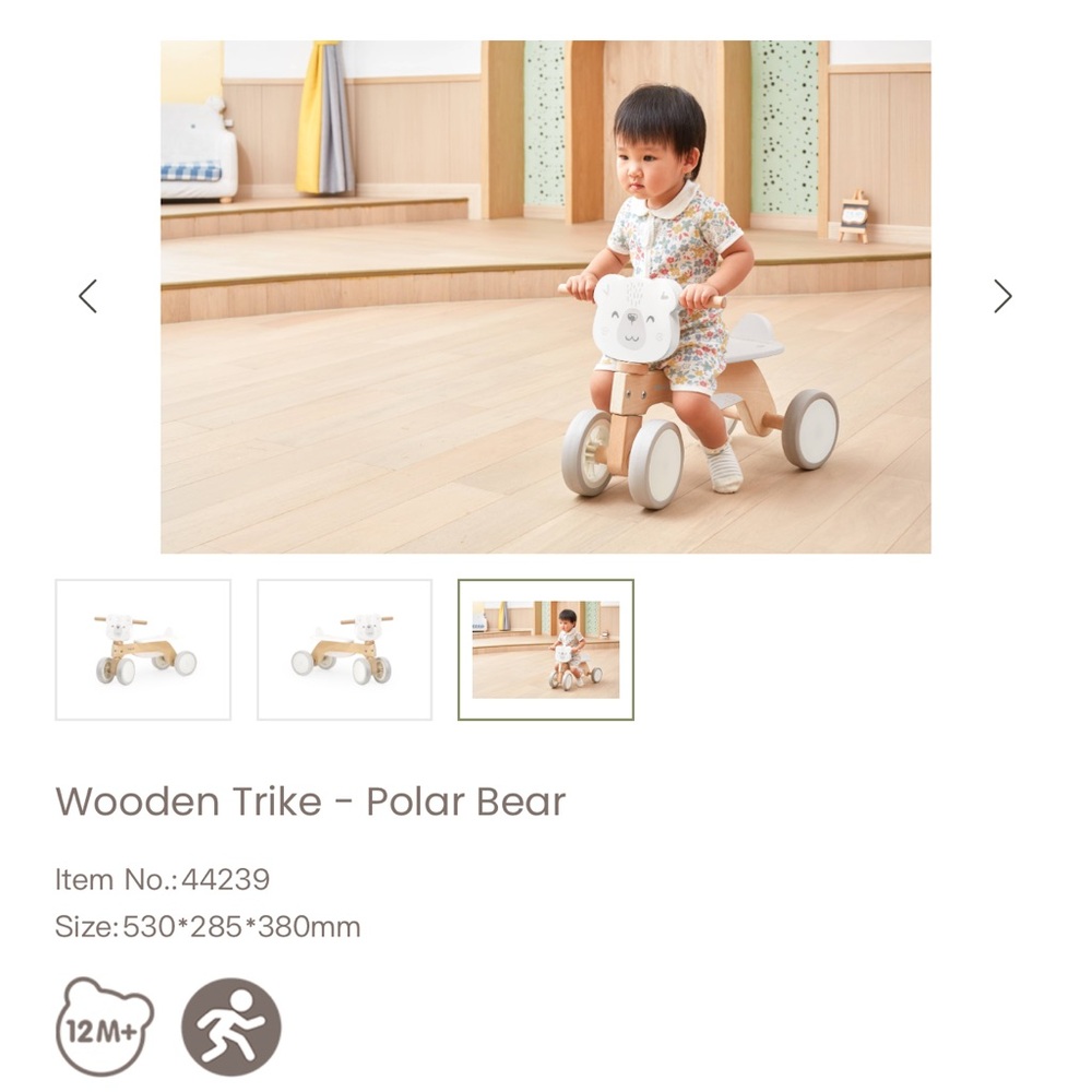 Cute Bear-Themed Wooden Push Toy - Picture 5 of 6